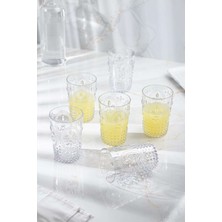 Birsence Akrilik Şeffaf 6'lı Kısa Bardak & Su Meşrubat Kahve Yanı Bardağı 400 ml ( Cam Değildir )