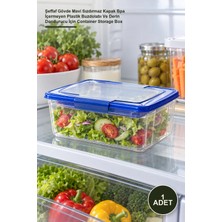 Yenilig 1 Adet Köşeli Saklama Kabı Seti – Şeffaf Gövde Mavi Sızdırmaz Kapak Bpa Içermeyen Plastik Buzdolabı ve Derin Dondurucu Için Container Storage Box