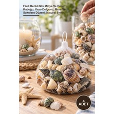 Yenilig 4 Adet Dekoratif Vazo Taşı – Fileli Renkli Mix Midye ve Deniz Kabuğu, Vazo Dolgusu, Mum ve Sukulent Düzeni, Natural Shells