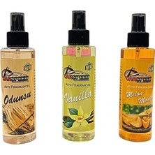 Store Sprey Oto Kokusu 150 ml