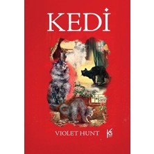 Kedi