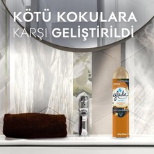 Store Aerosol Oryantal Oud Oda Kokusu 300 ml (1 x 300 Ml)