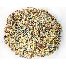 Store Inline Mineral Filtre - Yüksek Performanslı Su Arıtma ve Mineral Ekleme Filtre Kartuşu