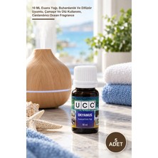 Yenilig 5 Adet Okyanus Esansiyel Koku – 10 ml Esans Yağı, Buhardanlık ve Difüzör Uyumlu, Çamaşır ve Ütü Kullanımı, Canlandırıcı Ocean Fragrance