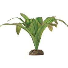 Store Teraryum Için Plastik Bitki