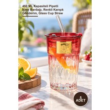 Yenilig 5 Adet Pipetli Cam Bardak – 450 ml Kapasiteli Pipetli Içme Bardağı, Renkli Karışık Gönderim, Glass Cup Straw