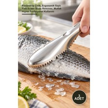 Yenilig 3 Adet Balık Pulu Kazıyıcı Aparat – Paslanmaz Çelik, Ergonomik Saplı Fish Scaler Scale Remover, Mutfak Hijyen Profesyonel Kullanım