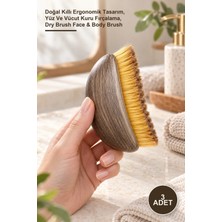 Yenilig 3 Adet Lenfatik Drenaj Masaj Fırçası – Doğal Kıllı Ergonomik Tasarım, Yüz ve Vücut Kuru Fırçalama, Dry Brush Face & Body Brush
