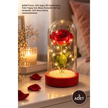 Yenilig 3 Adet Incili Ledli Gül Fanus – Şeffaf Fanus, Gün Işığı LED Aydınlatma, Tekli Yapay Gül, Masa Komodin Raf Için Hediyelik, LED Rose Dome