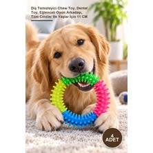 Yenilig 4 Adet Köpek Isırma Oyuncağı – Diş Temizleyici Chew Toy, Dental Toy, Eğlenceli Oyun Arkadaşı, Tüm Cinsler ve Yaşlar Için 11 cm