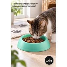 Yenilig 2 Adet Büyük Yuvarlak Mama Kabı – Sağlam Plastik, Yıkanabilir Evcil Hayvan Mama ve Su Kabı, Pet Bowl, Feeding Bowl, Renkli (Mor Mavi Yeşil Pembe)