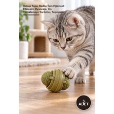 Yenilig 3 Adet Kedi Nanesi Oyun Topu – Catnip Topu, Kediler Için Eğlenceli Etkileşim Oyuncağı, Diş Temizlemeye Yardımcı, Taşınabilir