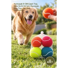 Yenilig 20 Adet Köpek Oyun Topu – Yumuşak 6 cm Çaplı Top, Orta ve Iri Irk Için Oyuncak, Dog Toy, Pet Ball