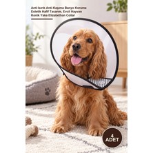 Yenilig 4 Adet Ayarlanabilir Koruyucu Yaka – Anti-Isırık Anti-Kaşıma Banyo Koruma Estetik Hafif Tasarım, Evcil Hayvan Konik Yaka Elizabethan Collar