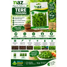 Naz Tohum Tere Tohumu 10 gr – Tere Tohumu – Ev, Balkon ve Bahçe Için – 1 / 3 Paket Seçeneği