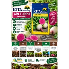 Çin Turpu Tohumu 10 gr – Chinese Radish Tohumu – Sebze Tohumu – 1 / 2 Paket Seçeneği