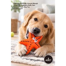 Yenilig 5 Adet Denizyıldızı Figürlü Köpek Oyuncağı – Çiğneme Oyuncağı, Kauçuk Masajlı Yüzey, Diş Sağlığına Katkı, Sarı Turuncu Yeşil, Dog Toy