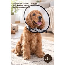Yenilig 5 Adet Ayarlanabilir Koruyucu Yaka – Operasyon Sonrası, Anti-Isırık Anti-Kaşıma, Banyo Koruması, Adjustable Pet Collar
