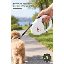 Yenilig 10 Adet Sevimli Otomatik Köpek Gezdirme Tasması – 2.5 Metre Geri Sarımlı Tasma, Ergonomik Sap, Plastik Gövde, Retractable Leash, Köpek Gezdirici