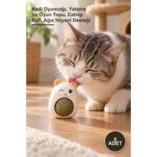 Yenilig 5 Adet Ayıcıklı Kedi Otu Yalama Topu – Kedi Oyuncağı, Yalama ve Oyun Topu, Catnip Ball, Ağız Hijyeni Desteği