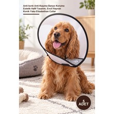 Yenilig 5 Adet Ayarlanabilir Koruyucu Yaka – Anti-Isırık Anti-Kaşıma Banyo Koruma Estetik Hafif Tasarım, Evcil Hayvan Konik Yaka Elizabethan Collar