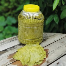 O&lıve Manisa Özel Seçme Asma Üzüm Yaprağı(3kg Net)