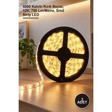 Yenilig 3 Adet CT-4486 Iç Mekan 10 Çipli Şerit LED – 4000 Kelvin Kırık Beyaz, 12V, 750 Lm/metre, Smd Strip LED
