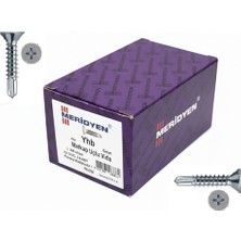 Caftra Meridyen Yhb Matkap Uçlu Vida 4.8×22 mm 1000’LI Paket