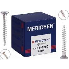 Caftra Meridyen Sunta Vidası 3.5×16 mm 1000’LI Paket