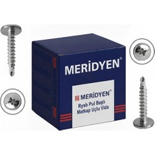 Caftra Meridyen Rysb Pul Başlı Matkap Uçlu Vida 3.9×19 mm 1000’LI Paket