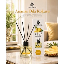 Paul David Ananas Yüksek Koku Yayılımlı Dekoratif Bambu Çubuklu Oda Kokusu 145 ml