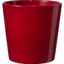 Soendgen 5 Adet Dallas Saksı Bordo 14 cm