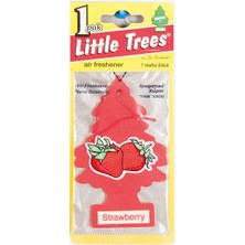 5 Adet Little Trees Asma Koku Çilek