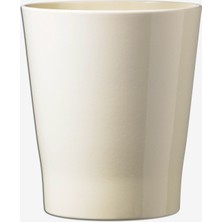 Soendgen 8 Adet Merina Candy Orkide Saksısı Krem 15 cm