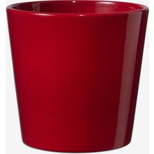 Soendgen 5 Adet Dallas Saksı Bordo 24 cm
