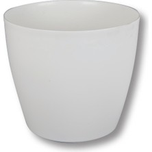 2 Adet Üçsan Begonya Tekerlekli Saksı 45 cm