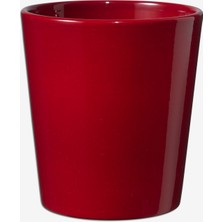 Soendgen 7 Adet Dallas Saksı Bordo 16 cm
