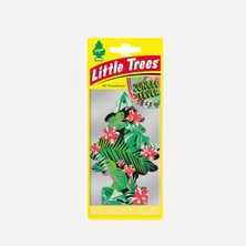 4 Adet Car Freshner Asma Koku Orman Ateşi