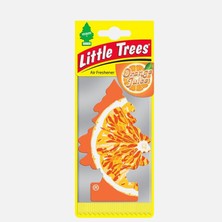 4 Adet Little Trees Car Freshner Asma Koku Portakal