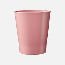 Soendgen 8 Adet Merina Candy Orkide Saksısı Pembe 15 cm