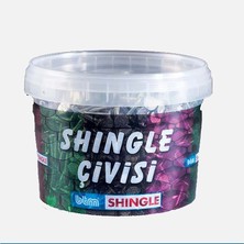 2 Adet Btm Shingle Çivisi 2 kg