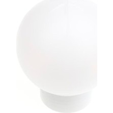 Tek-İş 5 Adet Tek-Iş 60 W Tavan Glop Armatür
