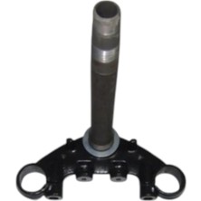 rialli Yamaha Ybr 125 Alt Platin (Ithal)