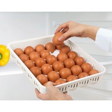 ALMITAL Yumurta Saklama Kabı 30'lu 1 Adet, Steril Yumurtalık, Kapaklı Yumurta Organizeri