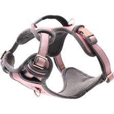 Rogz Urban Explore Tuig Köpek Göğüs Tasması Medium - Pembe