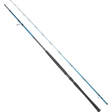 Daiwa Ryuji Shore Game Fuji Kw 295CM 30-100GR Shore Jig Kamış