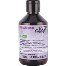 Every Green Ev Damaged Hair Yıpranmış Saçlar Için Yenileyici Şampuan 250 ml