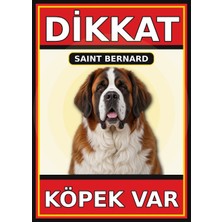 Ti Play Saint Bernard Dikkat Köpek Var Levhası 50X70 cm Uv Baskılı Pvc Uyarı Tabelası