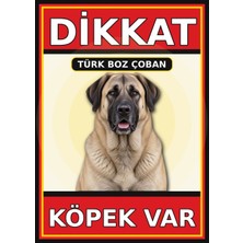 Ti Play Türk Boz Çoban Dikkat Köpek Var Levhası 35X50 cm Uv Baskılı Pvc Uyarı Tabelası