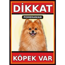 Ti Play Pomeranian Dikkat Köpek Var Levhası 50X70 cm Uv Baskılı Pvc Uyarı Tabelası